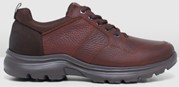 Chestnut shoes